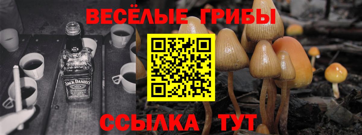 Псилоцибиновые грибы ЛСД  купить закладку  Волжский  Вход с VPN 